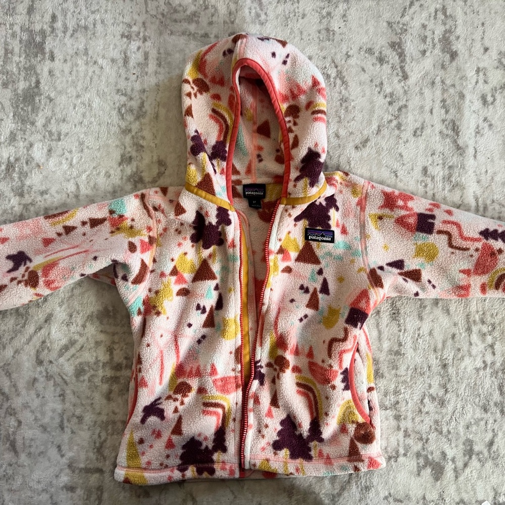 Patagonia Synchilla Fleece Jacket - Multicolor